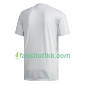 Fotballdrakt Japan Bortetrøye VM - Kvinner 2019 Kortermet